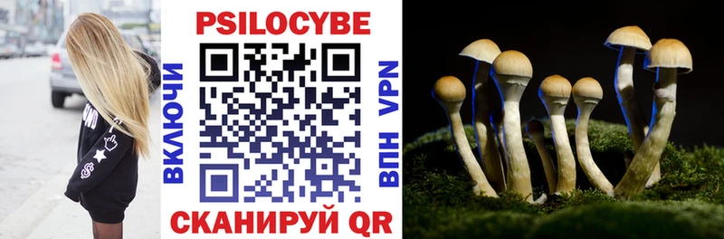 Купить где  Отрадный  Галлюциногенные грибы GOLDEN TEACHER 